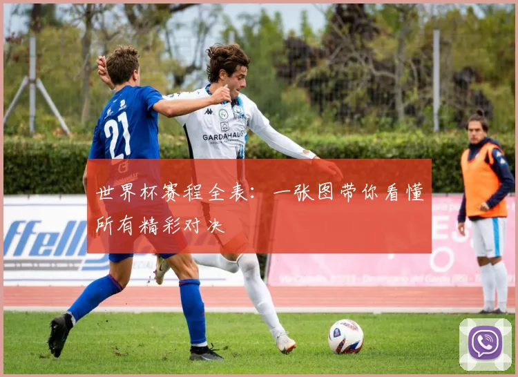 世界杯赛程全表：一张图带你看懂所有精彩对决