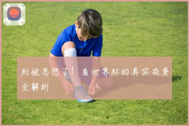 别被忽悠了！看世界杯的真实花费全解析