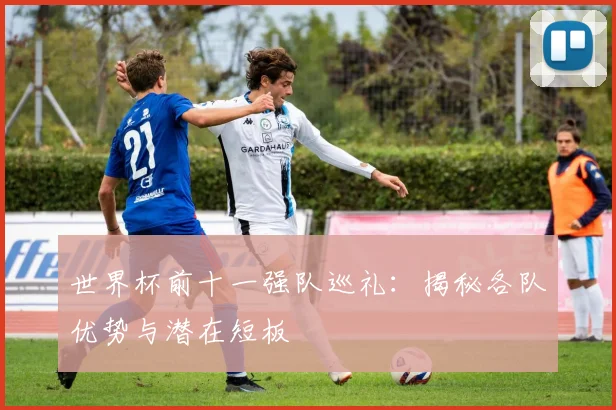 世界杯前十一强队巡礼：揭秘各队优势与潜在短板