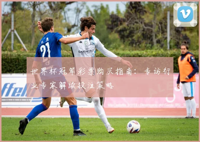 世界杯冠军彩票购买指南：专访行业专家解读投注策略