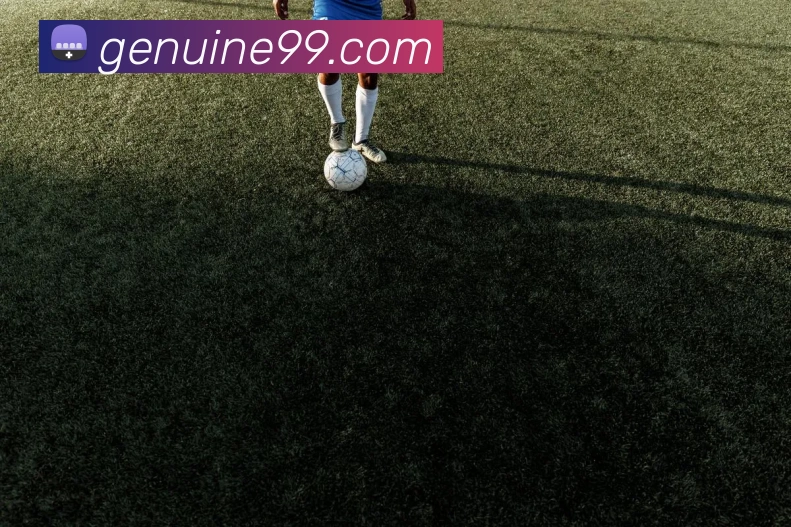 mksports官方网站APP 封面图